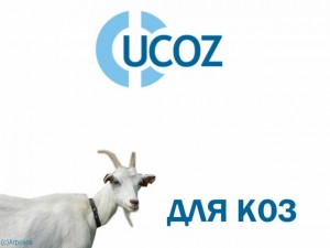 Заработок на сайте Ucoz