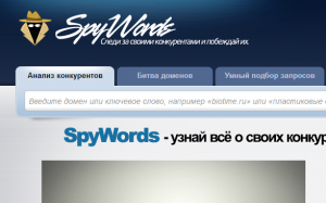 Обзор сервиса spywords.ru
